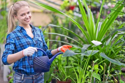 Professional tree lopping service in Chiswick