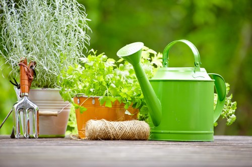 Professional garden maintenance in Chiswick
