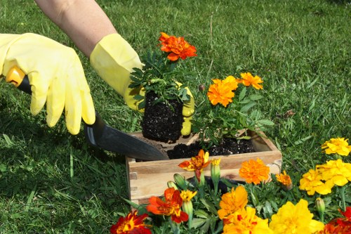 Cleaned-up garden space after clearance in Chiswick