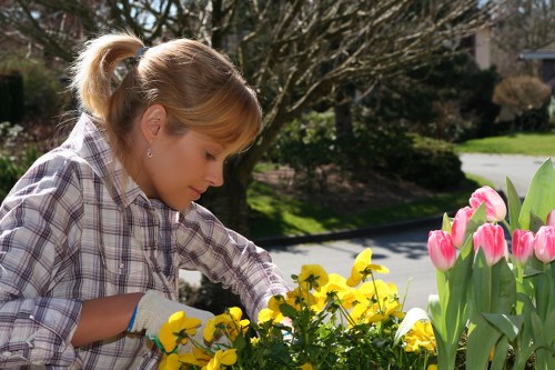 Eco-friendly garden clearance process in Chiswick