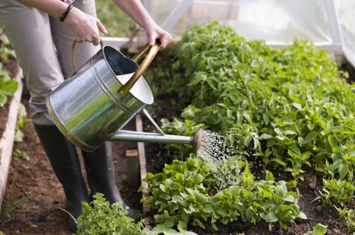 Professional gardener trimming a hedge in Chiswick